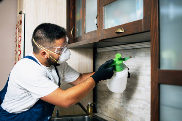 Best Pest Control Near Me  in Colesville, MD