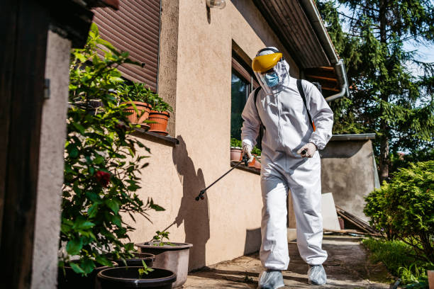 Best Residential Pest Control  in Colesville, MD