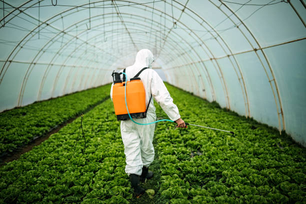 Best Commercial Pest Control Services  in Colesville, MD