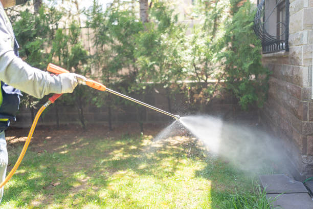 Best Flea Control Services  in Colesville, MD