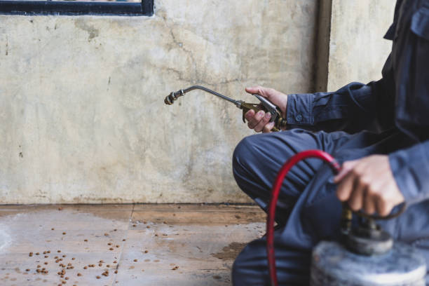Best Termite Control Services  in Colesville, MD