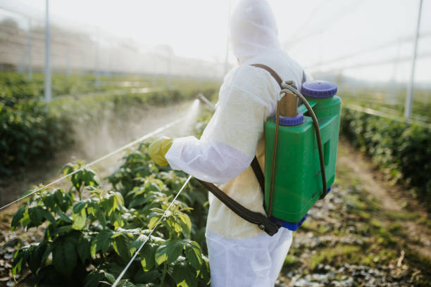 Best Pest Removal Services  in Colesville, MD